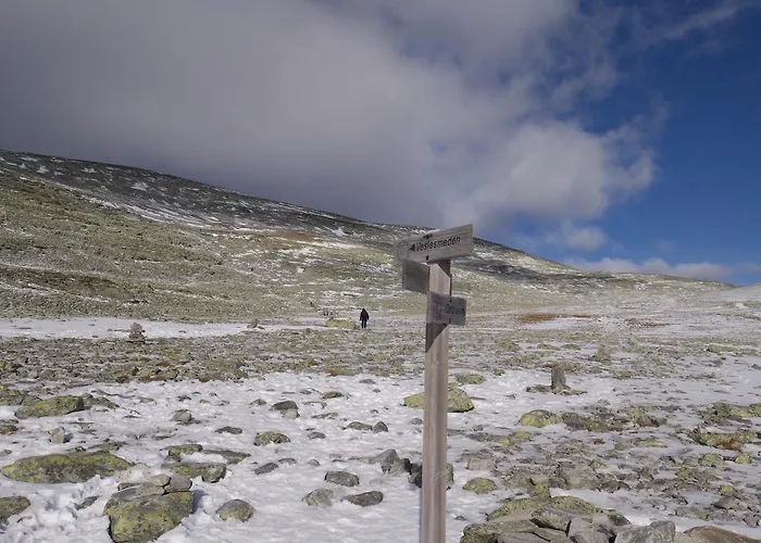Hostel Rondane Fjellstue
