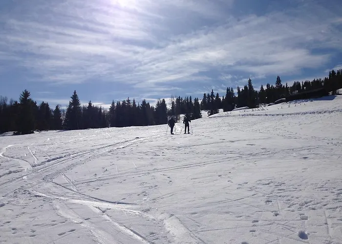 Rondane Fjellstue Hostel Mysusæter