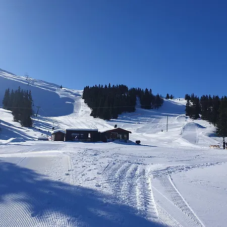 Rondane Fjellstue * Mysusaeter